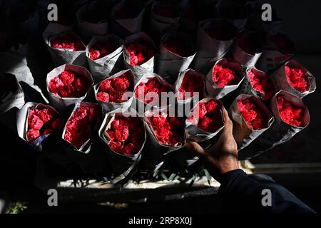 (190317) -- PEKING, 17. März 2019 (Xinhua) -- Ein Bauer arrangiert gewickelte Nelken im Dorf Yangjiadui der Gemeinde Wulongshan im Huguan County, nordchinesische Provinz Shanxi, 14. März 2019. Durch die Entwicklung einer Blumenpflanzenindustrie wurde das Dorf Yangjiadui 2017 aus der Armut befreit. (Xinhua/Zhan Yan) XINHUA FOTOS DES TAGES PUBLICATIONxNOTxINxCHN Stockfoto