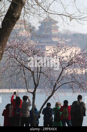 (190317) -- PEKING, 17. März 2019 (Xinhua) -- Foto vom 17. März 2019 zeigt Besucher, die die Landschaft im Sommerpalast in Peking, der Hauptstadt Chinas, betrachten. (Xinhua/Zhang Chuanqi) CHINA-PEKING-SOMMER PALAST-LANDSCHAFT (CN) PUBLICATIONxNOTxINxCHN Stockfoto