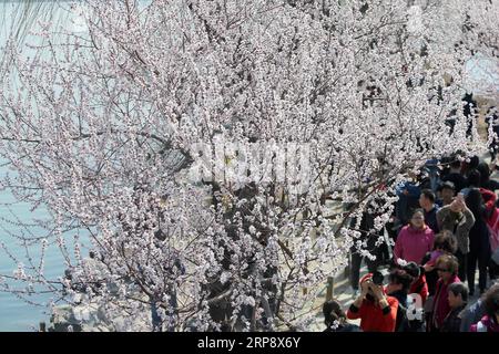 (190317) -- PEKING, 17. März 2019 (Xinhua) -- Foto vom 17. März 2019 zeigt Besucher, die die Landschaft im Sommerpalast in Peking, der Hauptstadt Chinas, betrachten. (Xinhua/Zhang Chuanqi) CHINA-PEKING-SOMMER PALAST-LANDSCHAFT (CN) PUBLICATIONxNOTxINxCHN Stockfoto