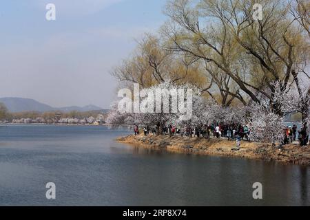 (190317) -- PEKING, 17. März 2019 (Xinhua) -- Foto vom 17. März 2019 zeigt Besucher, die die Landschaft im Sommerpalast in Peking, der Hauptstadt Chinas, betrachten. (Xinhua/Zhang Chuanqi) CHINA-PEKING-SOMMER PALAST-LANDSCHAFT (CN) PUBLICATIONxNOTxINxCHN Stockfoto