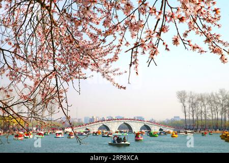 (190317) -- PEKING, 17. März 2019 (Xinhua) -- Menschen genießen die Landschaft des frühen Frühlings im Yuyuantan Park in Peking, Hauptstadt von China, 17. März 2019. (Xinhua/Guo Junfeng) CHINA-SPRING-SCENERY (CN) PUBLICATIONxNOTxINxCHN Stockfoto