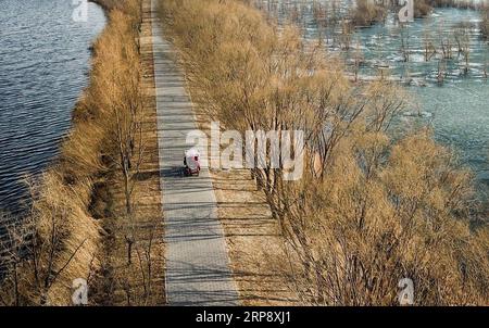 (190317) -- PEKING, 17. März 2019 (Xinhua) -- Luftaufnahme aufgenommen am 17. März 2019 zeigt Besucher, die im Pekinger Wildententententententententee National Wetland Park im Bezirk Yanqing von Peking, der Hauptstadt von China, tourten. Der Beijing Wild Duck Lake National Wetland Park wurde am Freitag nach der Winterpause wieder eröffnet. Peking hat in den letzten Jahren die Bemühungen um den Schutz wildlebender Tiere und Pflanzen verstärkt, und die Arten wild lebender Tiere und Pflanzen haben mit der Verbesserung der ökologischen Umwelt in der Landeshauptstadt zugenommen. (Xinhua/Wang Jianhua) CHINA-BEIJING-WILDE ENTENSEE FEUCHTGEBIET NATIONALPARK-REOPENING (CN) PUBLICATIONxNO Stockfoto