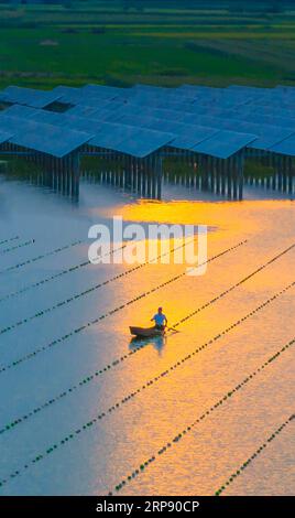 SUQIAN, CHINA - 3. SEPTEMBER 2023 - Arbeiter kontrollieren das Wachstum von Perlen per Boot an einem Stausee, an dem Photovoltaik-Stromerzeugung installiert wurde i Stockfoto