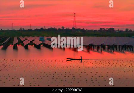 SUQIAN, CHINA - 3. SEPTEMBER 2023 - Arbeiter kontrollieren das Wachstum von Perlen per Boot an einem Stausee, an dem Photovoltaik-Stromerzeugung installiert wurde i Stockfoto