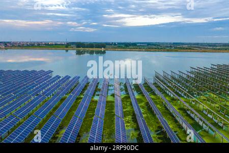 SUQIAN, CHINA - 3. SEPTEMBER 2023 - Arbeiter kontrollieren das Wachstum von Perlen per Boot an einem Stausee, an dem Photovoltaik-Stromerzeugung installiert wurde i Stockfoto