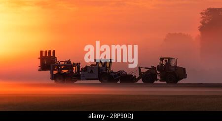 Ein Grasschneider in Industriegröße liefert eine Palette von Grassoden an einen Frontlader, bevor er auf ein für Florida bestimmtes Semi geladen wird. Stockfoto