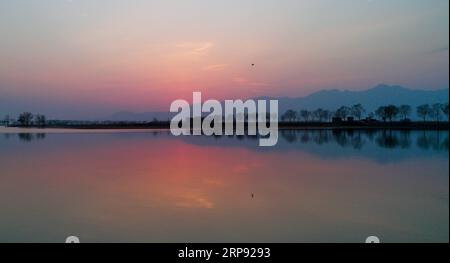 (190321) -- PEKING, 21. März 2019 (Xinhua) -- Foto aufgenommen mit einem Handy zeigt einen Vogel, der über einen See im Beijing Wild Duck Lake National Wetland Park in Peking, Hauptstadt von China, am 17. März 2019 fliegt. (Xinhua/Wang JIANHUA) XINHUA FOTOS DES TAGES PUBLICATIONxNOTxINxCHN Stockfoto