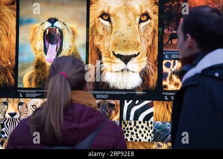 (190321) -- BUDAPEST, 21. März 2019 -- Freiluftausstellung des weltberühmten ungarischen Naturfotografen Bence Mate wird am 20. März 2019 auf einem öffentlichen Platz in der Innenstadt von Budapest, Ungarn, gesehen. ) UNGARN-BUDAPEST-NATUR FOTOAUSSTELLUNG AttilaxVolgyi PUBLICATIONxNOTxINxCHN Stockfoto