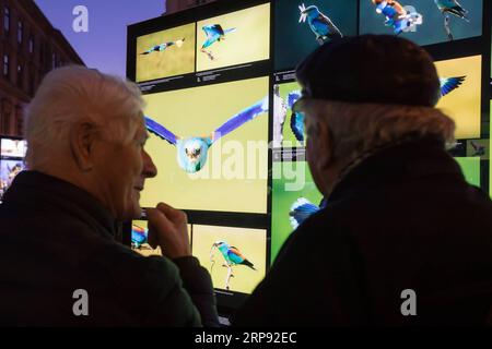 (190321) -- BUDAPEST, 21. März 2019 -- Freiluftausstellung des weltberühmten ungarischen Naturfotografen Bence Mate wird am 20. März 2019 auf einem öffentlichen Platz in der Innenstadt von Budapest, Ungarn, gesehen. ) UNGARN-BUDAPEST-NATUR FOTOAUSSTELLUNG AttilaxVolgyi PUBLICATIONxNOTxINxCHN Stockfoto