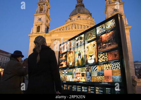 (190321) -- BUDAPEST, 21. März 2019 -- Freiluftausstellung des weltberühmten ungarischen Naturfotografen Bence Mate wird am 20. März 2019 auf einem öffentlichen Platz in der Innenstadt von Budapest, Ungarn, gesehen. ) UNGARN-BUDAPEST-NATUR FOTOAUSSTELLUNG AttilaxVolgyi PUBLICATIONxNOTxINxCHN Stockfoto