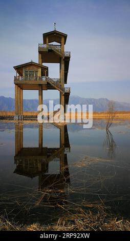 (190321) -- PEKING, 21. März 2019 -- Foto aufgenommen mit einem Handy zeigt die Frühlingslandschaft im Beijing Wild Duck Lake National Wetland Park in Peking, Hauptstadt von China, 17. März 2019. ) (BeijingCandid) CHINA-BEIJING-SPRING (CN) MengxChenguang PUBLICATIONxNOTxINxCHN Stockfoto