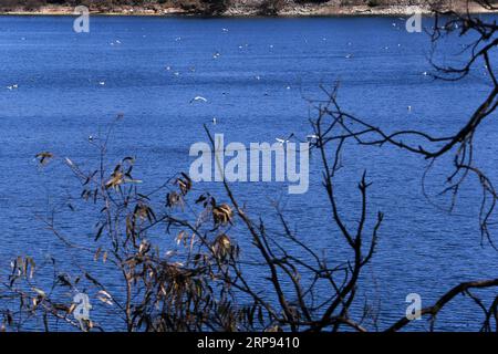 (190322) -- ATHEN, 22. März 2019 -- Foto aufgenommen am 20. März 2019 zeigt einen Blick auf den Marathon-See in der Region Ost-Attika, Griechenland. Der Marathonsee ist eines der wichtigsten Wasserreservoirs für Athen. Zur Funktion: Griechenlands Leitungswasserqualität bleibt nach achtjährigem Rettungsprogramm exzellent ) GRIECHENLAND-ATHEN-WELT-WASSERTAGESMARATHON MariosxLolos PUBLICATIONxNOTxINxCHN Stockfoto