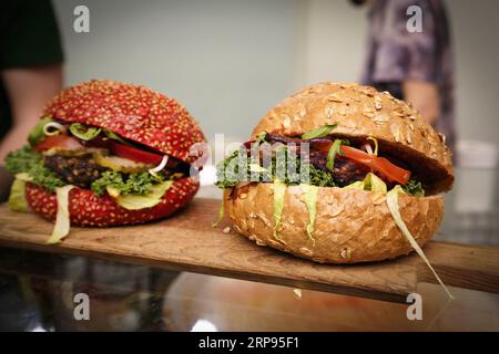 (190324) -- WARSCHAU, 24. März 2019 -- Vegane Burger werden während des Vegan Food Festivals in Warschau, Polen, am 24. März 2019 gesehen. ) POLEN-WARSCHAU-VEGANES ESSEN FESTIVAL JaapxArriens PUBLICATIONxNOTxINxCHN Stockfoto