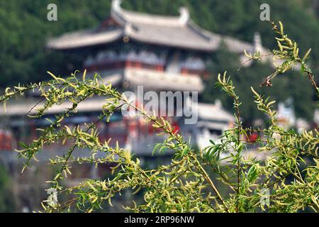 (190327) -- LUOYANG, 27. März 2019 (Xinhua) -- Foto aufgenommen am 26. März 2019 zeigt den Xiangshan-Tempel in der landschaftlich reizvollen Gegend der Longmen Grotten in Luoyang, der zentralchinesischen Provinz Henan. (Xinhua/Li an) CHINA-HENAN-LUOYANG-LONGMEN GROTTEN (CN) PUBLICATIONxNOTxINxCHN Stockfoto