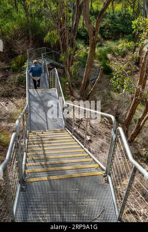 Treppen ermöglichen den Zugang zum östlichen Eingang des denkmalgeschützten Muntapa Railway Tunnels, Highgrove, Toowoomba Region, Queensland Stockfoto