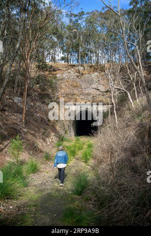 Östlicher Eingang des denkmalgeschützten Muntapa Railway Tunnels, Highgrove, Toowoomba Region, Queensland Stockfoto