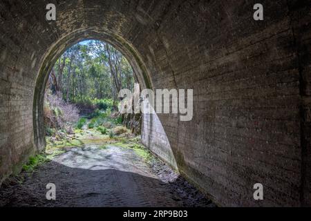 Blick nach außen vom östlichen Eingang des denkmalgeschützten Muntapa Railway Tunnels, Highgrove, Toowoomba Region, Queensland Stockfoto