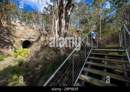 Treppen ermöglichen den Zugang zum östlichen Eingang des denkmalgeschützten Muntapa Railway Tunnels, Highgrove, Toowoomba Region, Queensland Stockfoto