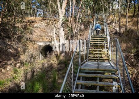 Treppen ermöglichen den Zugang zum östlichen Eingang des denkmalgeschützten Muntapa Railway Tunnels, Highgrove, Toowoomba Region, Queensland Stockfoto