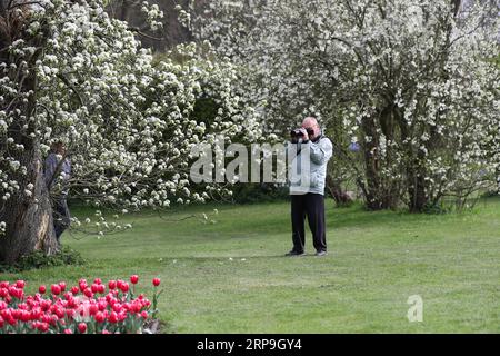 (190407) -- BRÜSSEL, 7. April 2019 (Xinhua) -- Ein Tourist fotografiert Birnenblumen auf der Burg Groot-Bijgaarden im Vorort Brüssel, Belgien, am 6. April 2019. Die 16. Floralia Brussels, eine Frühlingsblumenshow, begann am Samstag im Schloss Groot-Bijgaarden und wird bis zum 5. Mai dauern. Über eine Million Blumen von fast 500 Sorten werden während der Blumenschau präsentiert. (Xinhua/Zhang Cheng) BELGIUM-BRUSSELS-FLOWER SHOW PUBLICATIONxNOTxINxCHN Stockfoto