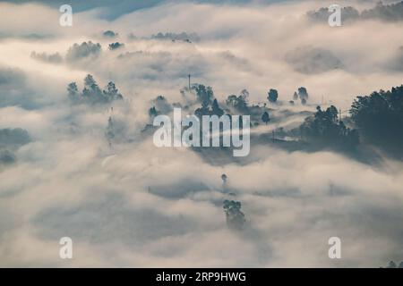 (190408) -- CHONGQING, 8. April 2019 (Xinhua) -- Nebelhüllen das Dorf Louling im Bezirk Nanchuan im südwestchinesischen Chongqing, 7. April 2019. (Xinhua/Qu Mingbin) CHINA-CHONGQING-WEATHER-FOG (CN) PUBLICATIONxNOTxINxCHN Stockfoto