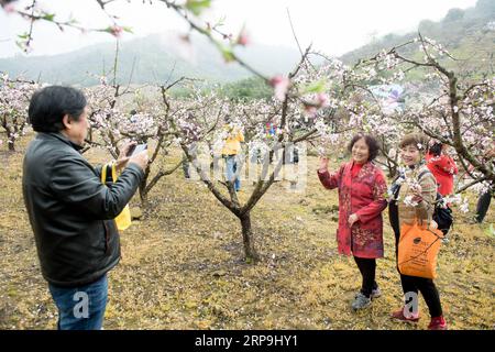 (190408) -- HANGZHOU, 8. April 2019 (Xinhua) -- die älteren Menschen, die zusammen in einer Villa leben, gehen zusammen im Dorf Gangdong im Bezirk Yuhang von Hangzhou, ostchinesische Provinz Zhejiang, 29. März 2019. 2017 hatte Zhu Ronglin die Idee, einige ältere Menschen in seine Villa einzuladen, damit sie sich gegenseitig versorgen können. Er veröffentlichte die Informationen in der Zeitung und einige interessierte Bürger zogen in seine Villa, nachdem sie für ihre Grundversorgung bezahlt hatten. Nun, es gibt ein Dutzend älterer Menschen, die in seiner Villa leben und die Hausarbeit erledigen und sich um Unterhaltung kümmern Stockfoto