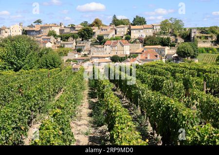 Vigne, das Dorf Saint-Emilion. Château Ausone domaine viticole de Saint-Emilion classé « Premier Grand Cru », 1er Grand Cru classé. Prod Stockfoto