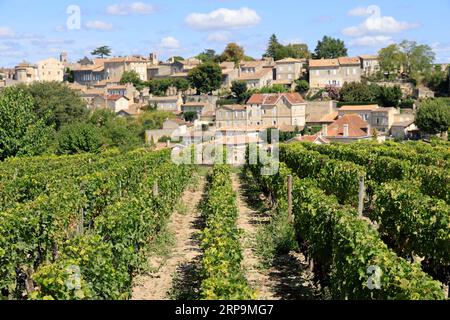 Vigne, das Dorf Saint-Emilion. Château Ausone domaine viticole de Saint-Emilion classé « Premier Grand Cru », 1er Grand Cru classé. Prod Stockfoto