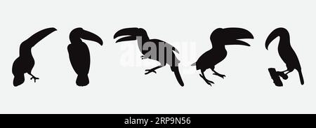 Majestätische Hornbill Silhouetten, Eine Reihe exquisiter Vogelsymbole und Illustrationen Stock Vektor