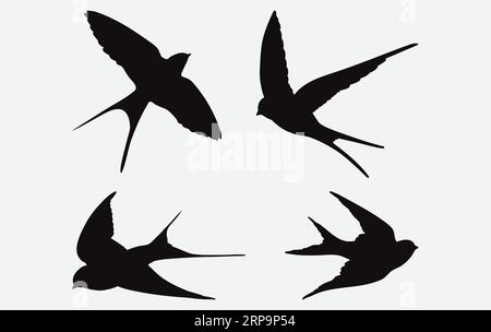 Elegantes Silhouette Swallow Set, grazile Vogelflug-Illustrationen in verschiedenen Posen und Styles Stock Vektor