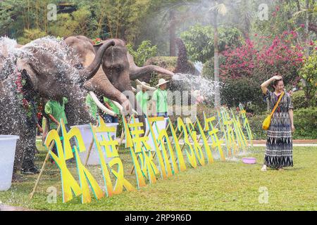 (190415) -- XISHUANGBANNA, 15. April 2019 (Xinhua) -- Elefanten spritzen Wasser bei einem Nachtschwärmer auf dem Wasserspritzer-Festival im Wild Elephant Valley Scenic Spot in Dai Autonomous Prefecture von Xishuangbanna, Südwestchinas Provinz Yunnan, 14. April 2018. Die Menschen streuen Wasser aufeinander, um während des traditionellen Wassersprühfestivals für Glück zu beten, das auch das Neujahrsfest der Dai-ethnischen Gruppe ist. (Xinhua/Zhang Yuwei) CHINA-YUNNAN-XISHUANGBANNA-WASSERSPRÜHFEST (CN) PUBLICATIONxNOTxINxCHN Stockfoto