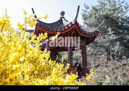 (190418) -- BERLIN, 18. April 2019 (Xinhua) -- Ein Besucher spaziert am 17. April 2019 durch einen Pavillon im Deyue Chinesischen Garten der Gärten der Welt im Osten Berlins. Der Deyue Chinese Garden Inside the Gardens of the World wurde 1997 erbaut und 2000 für die Öffentlichkeit geöffnet. (Xinhua/Shan Yuqi) DEUTSCHLAND-BERLIN-GÄRTEN DES WELT-CHINESISCHEN GARTENS PUBLICATIONxNOTxINxCHN Stockfoto