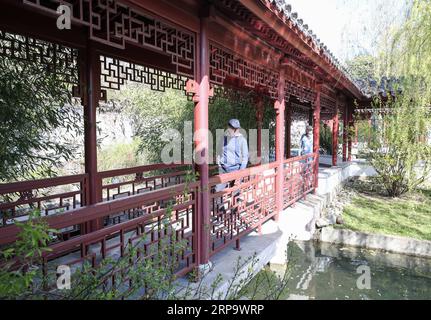 (190418) -- BERLIN, 18. April 2019 (Xinhua) -- Besucher werden am 17. April 2019 im Deyue Chinese Garden of the Gardens of the World im Osten Berlins gesehen. Der Deyue Chinese Garden Inside the Gardens of the World wurde 1997 erbaut und 2000 für die Öffentlichkeit geöffnet. (Xinhua/Shan Yuqi) DEUTSCHLAND-BERLIN-GÄRTEN DES WELT-CHINESISCHEN GARTENS PUBLICATIONxNOTxINxCHN Stockfoto