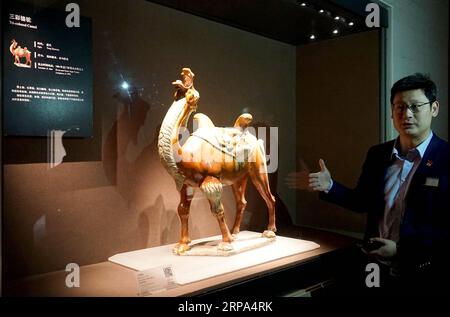 (190425) -- ZHENGZHOU, 25. April 2019 (Xinhua) -- Ein Museumsmitarbeiter stellt das dreifarbige Kamel vor, eine glasierte Keramik aus einem Pu-Grab der Tang-Dynastie, im Luoyang Museum in Luoyang, zentralchinesische Provinz Henan, 12. April 2017. (Xinhua/Li an) Xinhua-Schlagzeilen: Tausende von Jahren, Wiederbelebung zweier legendärer Städte auf der Seidenstraße PUBLICATIONxNOTxINxCHN Stockfoto