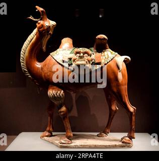 (190425) -- ZHENGZHOU, 25. April 2019 (Xinhua) -- Foto aufgenommen am 27. März 2019 zeigt ein dreifarbiges Kamel, eine glasierte Keramik aus einem Pu-Grab der Tang-Dynastie, im Luoyang Museum in der zentralchinesischen Provinz Henan. (Xinhua/Li an) Xinhua-Schlagzeilen: Tausende von Jahren, Wiederbelebung zweier legendärer Städte auf der Seidenstraße PUBLICATIONxNOTxINxCHN Stockfoto