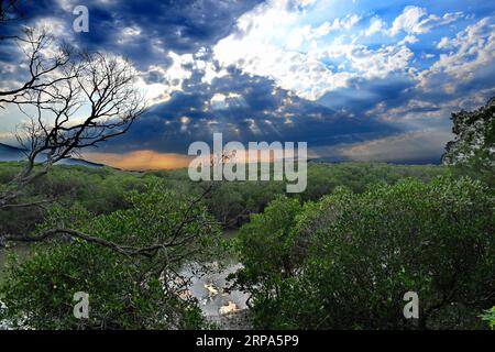 (190426) -- TAIPEI, 26. April 2019 (Xinhua) -- Foto aufgenommen am 25. April 2019 zeigt die Landschaft des Mangrovenwaldes am Tamsui-Fluss im Südosten Chinas Taiwan. (Xinhua/Zhang Guojun) CHINA-TAMSUI RIVER-LANDSCHAFT (CN) PUBLICATIONxNOTxINxCHN Stockfoto