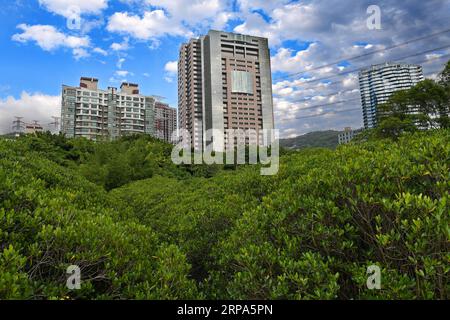 (190426) -- TAIPEI, 26. April 2019 (Xinhua) -- Foto aufgenommen am 25. April 2019 zeigt die Landschaft des Mangrovenwaldes am Tamsui-Fluss im Südosten Chinas Taiwan. (Xinhua/Zhang Guojun) CHINA-TAMSUI RIVER-LANDSCHAFT (CN) PUBLICATIONxNOTxINxCHN Stockfoto