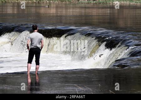 (190426) -- KULDIGA (LETTLAND), 26. April 2019 -- Ein Mann beobachtet, wie Fische am Venta Rapid, einem breiten Wasserfall am Venta-Fluss in Kuldiga, Lettland, am 26. April 2019 stromaufwärts springen. Jedes Frühjahr wird eine ungewöhnliche Landschaft von fliegenden Fischen über dem Wasserfall hier auf dem Venta River gesehen. Die Fische müssen die über 240 Meter breite Schnellströmung überqueren, um den Bach zu züchten. Um diese Herausforderung zu meistern, springen sie immer wieder in die Luft, bis sie endlich ihren Weg flussaufwärts fortsetzen können. ) LETTLAND-KULDIGA-VENTA-SCHNELLFLIEGER JANISXLAIZANS PUBLICATIONXNOTXINXCHN Stockfoto