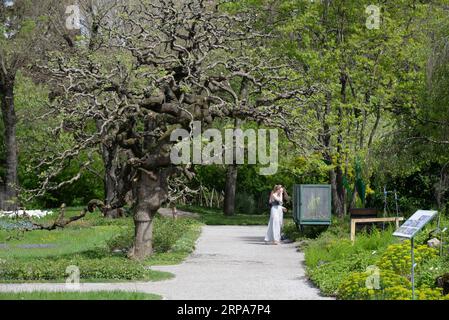 (190428) -- ZAGREB, 28. April 2019 (Xinhua) -- Menschen sehen Pflanzen im Botanischen Garten in der Innenstadt von Zagreb, Hauptstadt von Kroatien, 24. April 2019. Der 1889 gegründete Botanische Garten in Zagreb mit einer Gesamtfläche von etwa fünf Hektar ist kostenlos für die Öffentlichkeit zugänglich und empfängt mehr als 100.000 Besuche pro Jahr. (Xinhua/Gao Lei) KROATIEN-ZAGREB-BOTANISCHER GARTEN PUBLICATIONxNOTxINxCHN Stockfoto