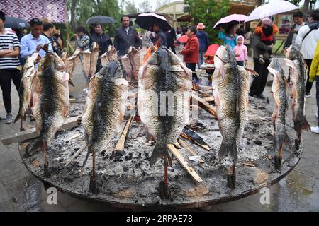 (190506) -- PEKING, 6. Mai 2019 (Xinhua) -- Touristen sehen sich Fisch braten in Daolang landschaftlich reizvollen Ort des Awat County, Nordwestchinas Xinjiang Uygur Autonomous Region, 1. Mai 2019. Touristen verzeichneten während des Maiurlaubs von Mittwoch bis Samstag 195 Millionen Inlandsreisen in China, was einem Anstieg von 13,7 Prozent im Jahresvergleich entspricht. Und die Tourismuseinnahmen stiegen in den letzten vier Tagen um 16,1 Prozent auf 117,7 Milliarden Yuan (etwa 17,5 Milliarden US-Dollar), laut Schätzungen des Ministeriums für Kultur und Tourismus. Große Online-Reiseplattformen haben auch Trends bei der Verbesserung des Tourismus beobachtet. Reisende Stockfoto