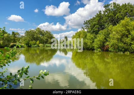 Am Ufer des Mount Pond im Clapham Common Park. London. England, Großbritannien Stockfoto