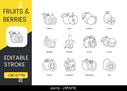 Früchte und Beeren, ganz und in Scheiben geschnitten, Symbolsatz mit Vektorlinie, bearbeitbarer Hub. Kiwi und Persimmon, Heidelbeere und Feijoa, Litschi und Guave, Banane und Stock Vektor