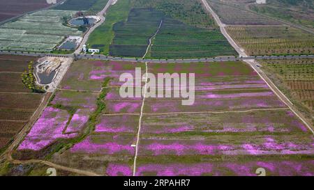 (190512) -- JINAN, 12. Mai 2019 (Xinhua) -- Luftaufnahme, aufgenommen am 11. Mai 2019, zeigt den Blick auf den Qilu Wine Home Cultural Creativity Industrial Park in Anqiu City, ostchinesische Provinz Shandong. Die Qinglong Mountain Area der Wirtschaftsentwicklungszone Anqiu, ursprünglich ein stillgelegter Steinbruch mit empfindlicher Umgebung, wurde heute zu einer Touristikstadt. Die Umwandlung erfolgt mit sieben Jahren Aufwand von Shandong Jingzhi Wine Co., Ltd., die Qilu Wine Home Kulturindustriepark auf dem ehemaligen Steinbruch baut. (XINHUA/GUO XULEI) CHINA-SHANDONG-ANQIU-CULTURAL CREATIVITY INDUSTRIAL PARK (CN) ÖFFENTLICHKEIT Stockfoto