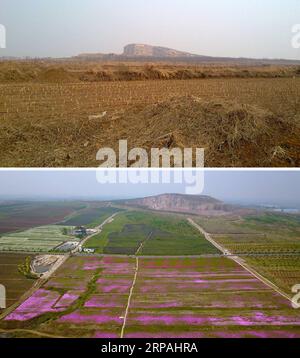 (190512) -- JINAN, 12. Mai 2019 (Xinhua) -- Kombo-Foto zeigt eine Ansicht des Qilu Wine Home Cultural Creativity Industrial Park vor der ökologischen Restaurierung (oben, Datei Foto) bzw. am 11. Mai 2019 (unten, aufgenommen von Guo Xulei). Die Qinglong Mountain Area der Wirtschaftsentwicklungszone Anqiu, ursprünglich ein stillgelegter Steinbruch mit empfindlicher Umgebung, wurde heute zu einer Touristikstadt. Die Umwandlung erfolgt mit sieben Jahren Aufwand von Shandong Jingzhi Wine Co., Ltd., die Qilu Wine Home Kulturindustriepark auf dem ehemaligen Steinbruch baut. (XINHUA) CHINA-SHANDONG-ANQIU-CULTURAL CREATIVIT Stockfoto