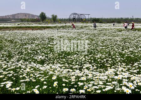 (190512) -- JINAN, 12. Mai 2019 (Xinhua) -- Menschen besuchen Qilu Wine Home Cultural Creativity Industrial Park in der Stadt Anqiu, ostchinesische Provinz Shandong, am 12. Mai 2019. Die Qinglong Mountain Area der Wirtschaftsentwicklungszone Anqiu, ursprünglich ein stillgelegter Steinbruch mit empfindlicher Umgebung, wurde heute zu einer Touristikstadt. Die Umwandlung erfolgt mit sieben Jahren Aufwand von Shandong Jingzhi Wine Co., Ltd., die Qilu Wine Home Kulturindustriepark auf dem ehemaligen Steinbruch baut. (Xinhua/Guo Xulei) CHINA-SHANDONG-ANQIU-CULTURAL CREATIVITY INDUSTRIAL PARK (CN) PUBLICATIONxNOTxINxCHN Stockfoto