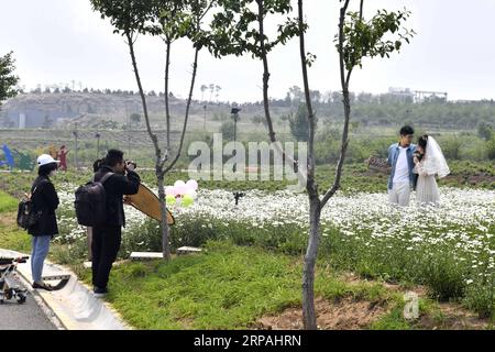 (190512) -- JINAN, 12. Mai 2019 (Xinhua) -- Ein Paar posiert für Hochzeitsfotos im Qilu Wine Home Cultural Creativity Industrial Park in der Stadt Anqiu, ostchinesische Provinz Shandong, am 12. Mai 2019. Die Qinglong Mountain Area der Wirtschaftsentwicklungszone Anqiu, ursprünglich ein stillgelegter Steinbruch mit empfindlicher Umgebung, wurde heute zu einer Touristikstadt. Die Umwandlung erfolgt mit sieben Jahren Aufwand von Shandong Jingzhi Wine Co., Ltd., die Qilu Wine Home Kulturindustriepark auf dem ehemaligen Steinbruch baut. (XINHUA/GUO XULEI) CHINA-SHANDONG-ANQIU-CULTURAL CREATIVITY INDUSTRIAL PARK (CN) ÖFFENTLICHKEIT Stockfoto