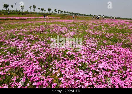 (190512) -- JINAN, 12. Mai 2019 (Xinhua) -- Menschen besuchen Qilu Wine Home Cultural Creativity Industrial Park in der Stadt Anqiu, ostchinesische Provinz Shandong, am 12. Mai 2019. Die Qinglong Mountain Area der Wirtschaftsentwicklungszone Anqiu, ursprünglich ein stillgelegter Steinbruch mit empfindlicher Umgebung, wurde heute zu einer Touristikstadt. Die Umwandlung erfolgt mit sieben Jahren Aufwand von Shandong Jingzhi Wine Co., Ltd., die Qilu Wine Home Kulturindustriepark auf dem ehemaligen Steinbruch baut. (Xinhua/Guo Xulei) CHINA-SHANDONG-ANQIU-CULTURAL CREATIVITY INDUSTRIAL PARK (CN) PUBLICATIONxNOTxINxCHN Stockfoto