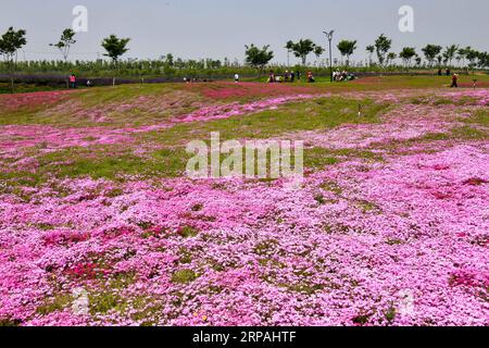 (190512) -- JINAN, 12. Mai 2019 (Xinhua) -- Menschen besuchen Qilu Wine Home Cultural Creativity Industrial Park in der Stadt Anqiu, ostchinesische Provinz Shandong, am 12. Mai 2019. Die Qinglong Mountain Area der Wirtschaftsentwicklungszone Anqiu, ursprünglich ein stillgelegter Steinbruch mit empfindlicher Umgebung, wurde heute zu einer Touristikstadt. Die Umwandlung erfolgt mit sieben Jahren Aufwand von Shandong Jingzhi Wine Co., Ltd., die Qilu Wine Home Kulturindustriepark auf dem ehemaligen Steinbruch baut. (Xinhua/Guo Xulei) CHINA-SHANDONG-ANQIU-CULTURAL CREATIVITY INDUSTRIAL PARK (CN) PUBLICATIONxNOTxINxCHN Stockfoto