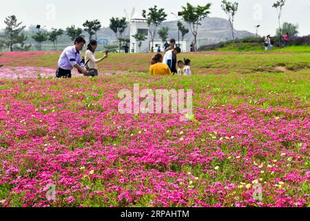 (190512) -- JINAN, 12. Mai 2019 (Xinhua) -- Menschen besuchen Qilu Wine Home Cultural Creativity Industrial Park in der Stadt Anqiu, ostchinesische Provinz Shandong, am 12. Mai 2019. Die Qinglong Mountain Area der Wirtschaftsentwicklungszone Anqiu, ursprünglich ein stillgelegter Steinbruch mit empfindlicher Umgebung, wurde heute zu einer Touristikstadt. Die Umwandlung erfolgt mit sieben Jahren Aufwand von Shandong Jingzhi Wine Co., Ltd., die Qilu Wine Home Kulturindustriepark auf dem ehemaligen Steinbruch baut. (Xinhua/Guo Xulei) CHINA-SHANDONG-ANQIU-CULTURAL CREATIVITY INDUSTRIAL PARK (CN) PUBLICATIONxNOTxINxCHN Stockfoto