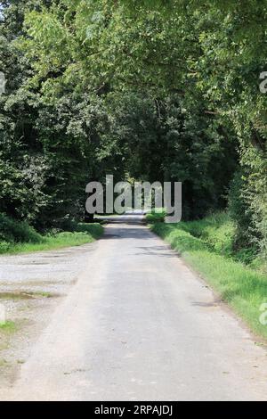 Impressionen aus Bad Sassendorf in der Soester Börde Stockfoto